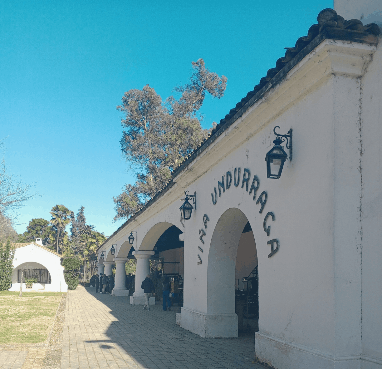 Vinícola Undurraga